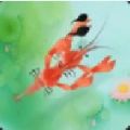 龍蝦大戰(zhàn)蝌蚪