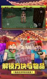 我的世界20w17a更新版3