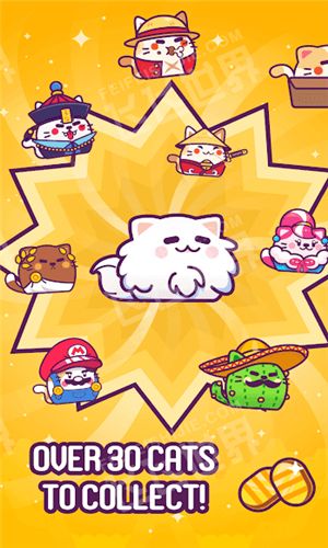 乒乒乒小貓?zhí)S游戲3