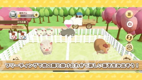 養豬場(chǎng)3D紅包版2