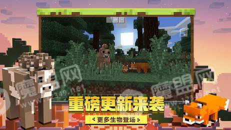 我的世界異星求生3