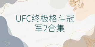 UFC終極格斗冠軍2合集