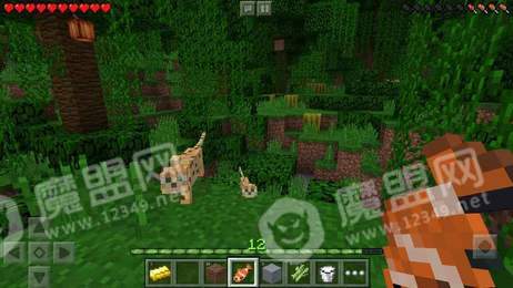 我的世界末節(jié)之劍1