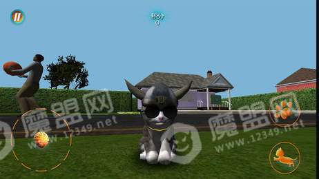 真實小貓3D模擬3