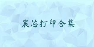 宸芯打印合集