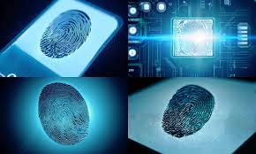 指紋識別合集
