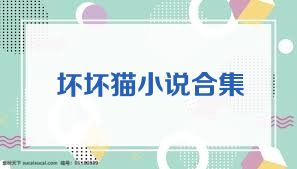 壞壞貓小說(shuō)合集