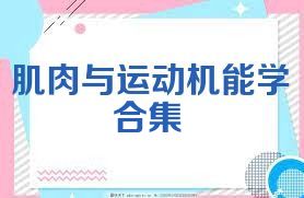 肌肉與運(yùn)動(dòng)機(jī)能學(xué)合集
