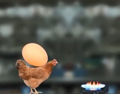 母雞繁殖模擬器2