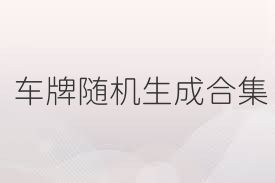 車牌隨機(jī)生成合集