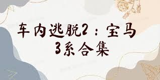 车内逃脱2：宝马3系合集