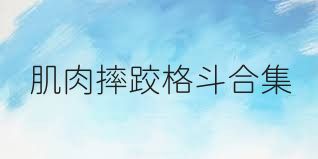 肌肉摔跤格斗合集