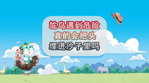 致富鴕鳥(niǎo)合集