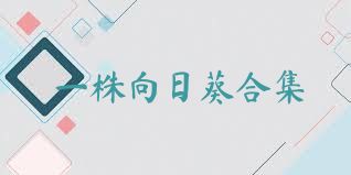 一株向日葵合集